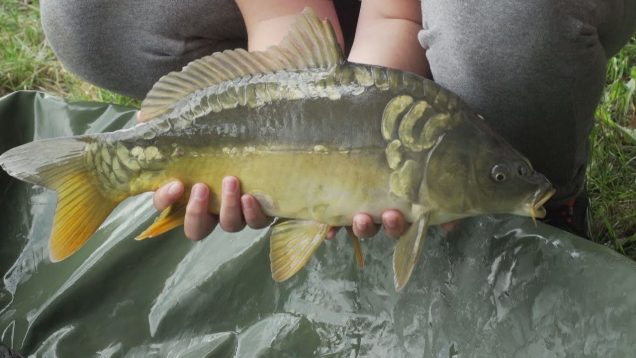 1. ročník rybárskeho preteku Family carp cup v Ďanovej