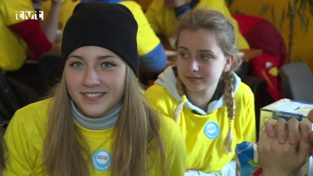 Deň narcisov v Martine