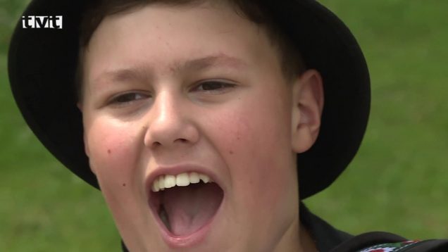 V martinskom skanzene sa stretli harmonikári z viacerých regiónov Slovenska