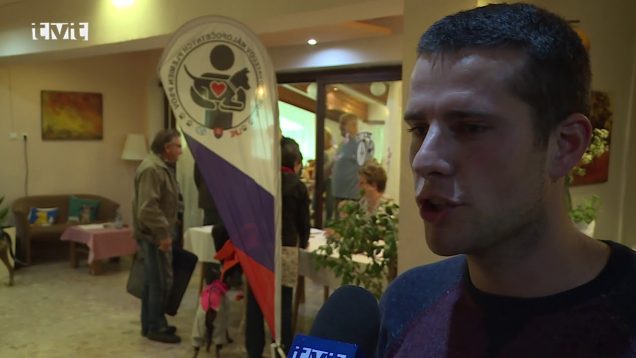 Členovia Klubu málo početných psích plemien predviedli svojich miláčikov