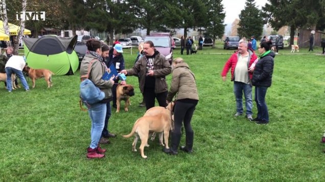 V Mošovciach pretekali musheri z celého Slovenska