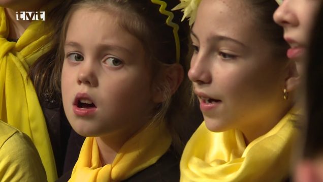 Oceňovanie osobností mesta Martin za rok 2017