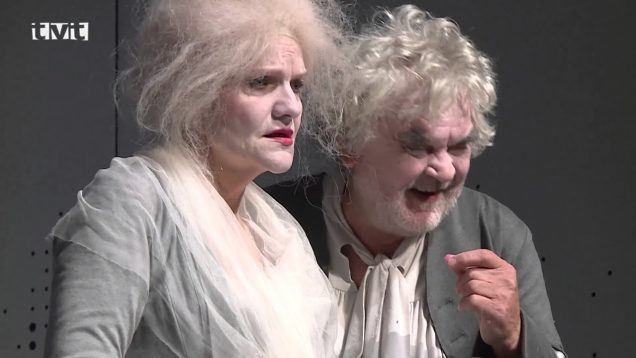 Slovenské komorné divadlo v roku 2017 a plány na rok 2018