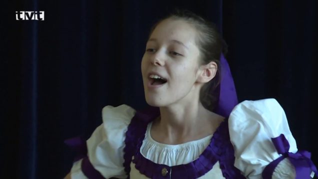 Regionálne kolo celoštátnej súťažnej prehliadky „Husličky z javora“ už pozná víťazov