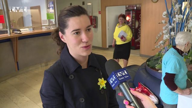 Ulice nášho mesta zaplnili malé žlté kvietky-symbol Ligy proti rakovine