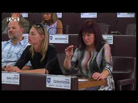 Mestské zastupiteľstvo mesta Martin  – mimoriadne  2.7.2018