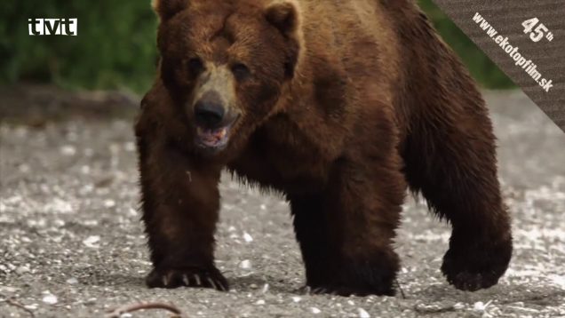 Festivalov dokumentárnych ekologických filmov zavítal aj do Martina