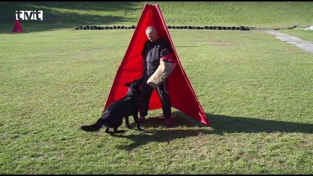 Na strelnici v Turanoch súťažili psovodi spolu so svojimi zverencami
