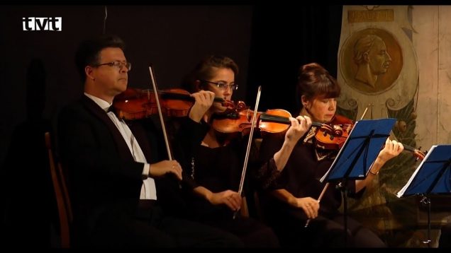 Pražský sláčikový orchester hral na dňoch českej kultúry v priestoroch SNM