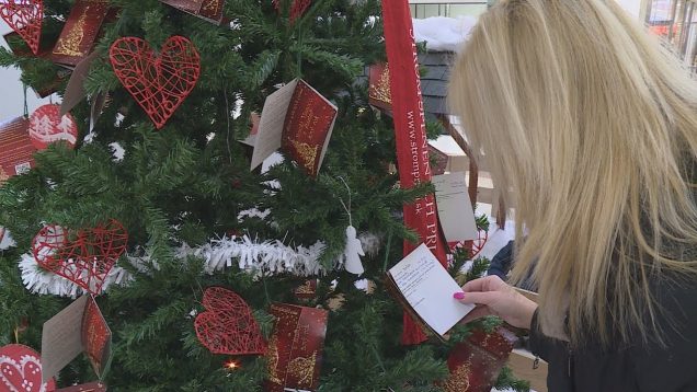 Pod Stromom splnených prianí v OC Tulip už pribúdajú prvé vianočné darčeky