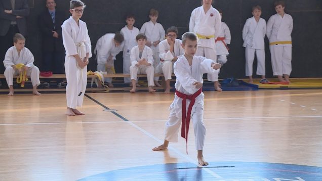 Karatisti z viacerých klubov sa predstavili na 2.kole Slovenského pohára