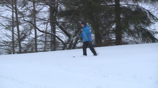 Milovníci zimných športov môžu využívať aj upravené bežecké trate v Jedľovinách