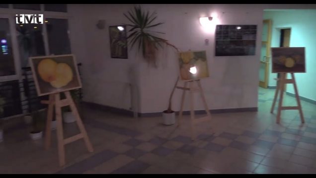 V Martinsko – Flámskom podnikateľskom a inkubátorovom centre vystavujú poslucháči štúdia ŠPD