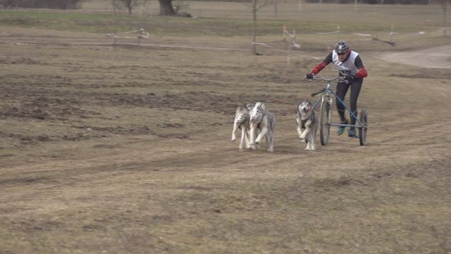 V Mošovciach pokračoval seriál pretekov v psích záprahoch