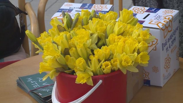 Do 23. ročníka charitatívnej zbierky Deň narcisov sa zapojili aj Martinčania