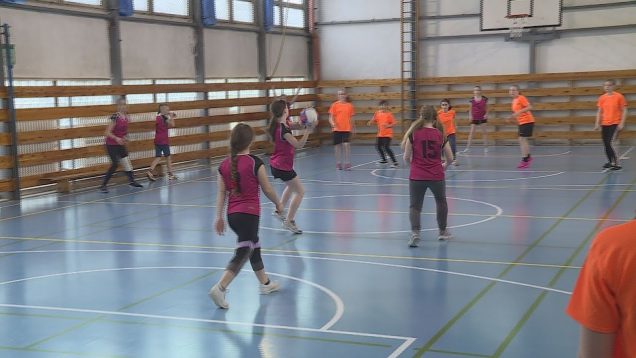 Do krajského kola postupovej súťaže vo vybíjanej postúpili dievčatá zo ZŠ Dolinského