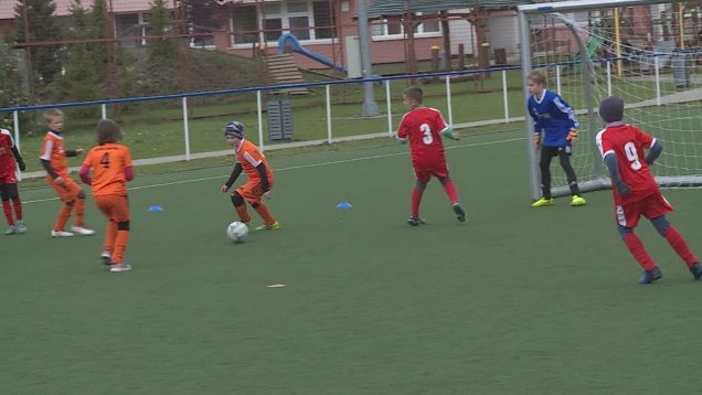 Malí futbalisti okresu Martin bojovali o postup do krajského kola Mc Donald’s cupu
