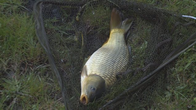 Martinskí rybári zahájili rybársku sezónu súťažou v lovení rýb