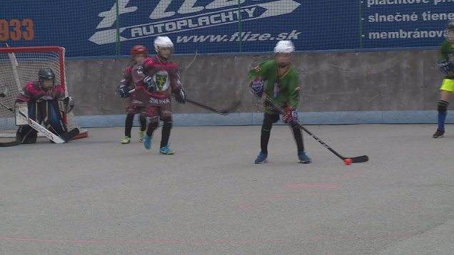 Na celoslovenskom turnaji Mamut cup 2019 sa predstavili malí hokejbalisti z Martina aj Vrútok