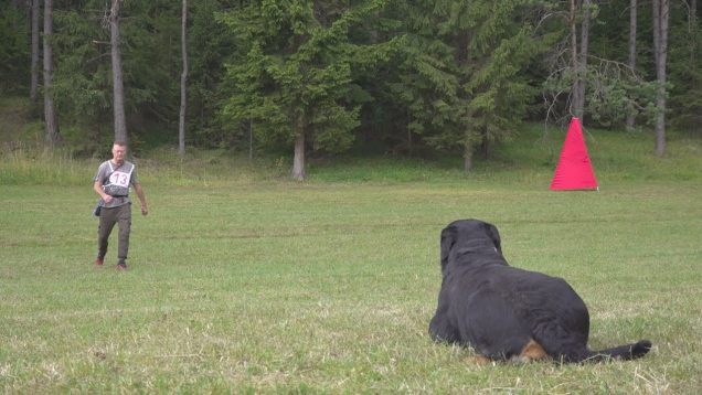 V Slovenskom Pravne sa konali tradičné kynologické preteky