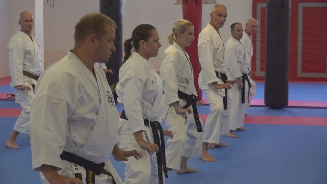Nielen členovia martinského karate klubu FATRA sa učili od japonských majstrov