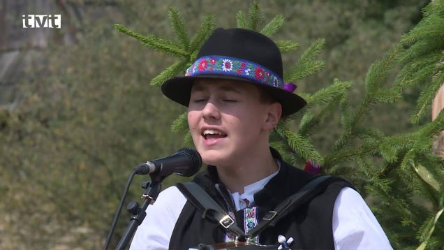 Turčianska harmonika 2019