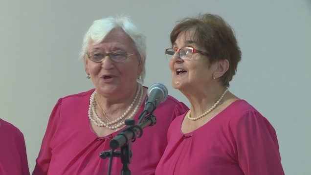 Amatérski speváci a speváčky sa predviedli na jubilejnom 10. ročníku Priekopských spievanok