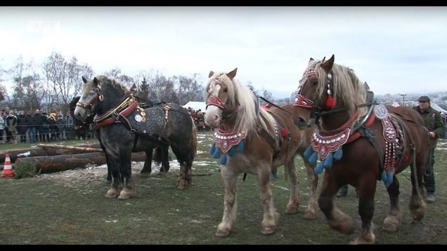 Kľačianska Podkova 2020