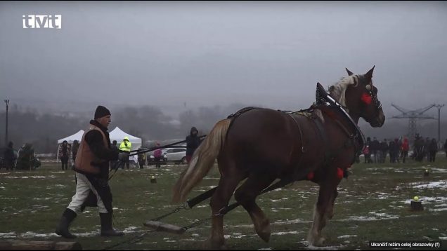 Na 14.ročníku Kľačianskej podkovy boli aj skúsení furmani