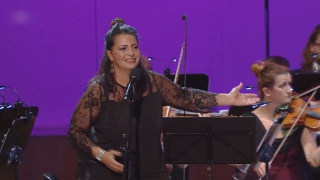 Speváčka arménskeho pôvodu Karin Sarkisjan je už roky ozdobou nášho mesta