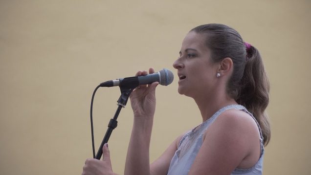 V nedeľu sa v záhrade Turčianskej galérie opäť konal koncert