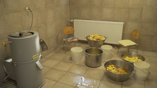 ZŠ s MŠ Podhájska má zrekonštruované zázemie školskej kuchyne