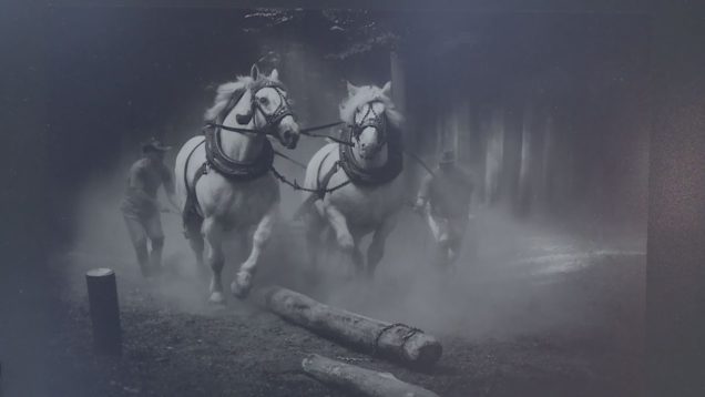 Fotografie, ktoré dokážu pohladiť dušu. Aj také boli vystavené na 60. ročníku Českobudějovického mapového okruhu v OC Tulip