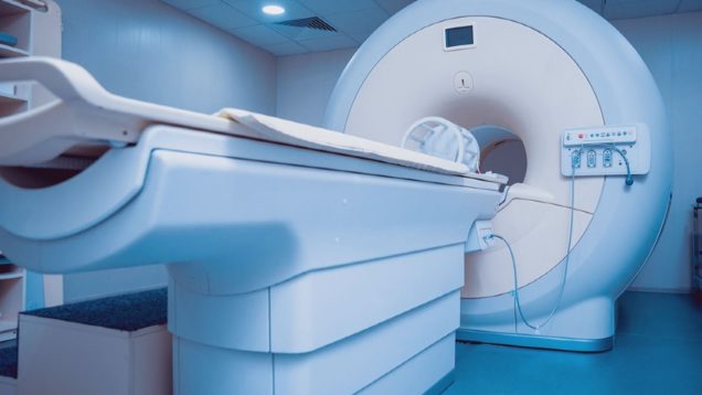 Jesenná očista, obedy pre seniorov, výmena magnetickej rezonancie v UNM, environmentálne vychádzky po Turci