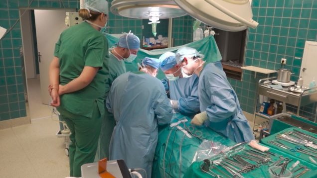 V  UNM aplikovali pacientovi bunky z odstráneného pankreasu do pečene.  Vďaka unikátnemu zákroku ostala produkcia inzulínu zachovaná a pacient  môže viesť kvalitnejší život