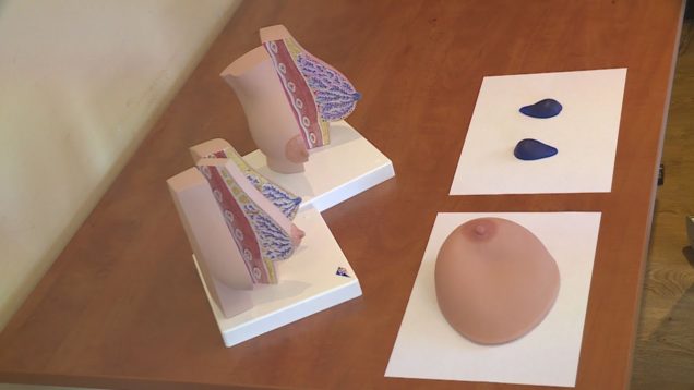 Samovyšetrenie by malo byť bežnou súčasťou našich životov. Niekoľko minút, ktoré venujeme sebe môžu viesť k dlhým rokom, ktoré strávime s našimi blízkymi