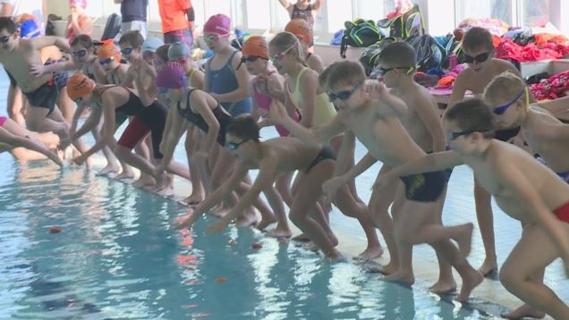 <strong><u>Plaveckých klubových pretekov sa zúčastnili aj rodičia. Bonbónikom bolo, že malí plavci lovili z bazéna aj mandarínky, jabĺčka či pomaranče</u></strong>