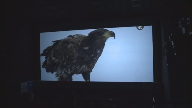 <strong><u>V Martine mali deti i dospelí opäť možnosť vidieť filmy, ktoré priblížili nielen krásu a silu prírody, ale poukázali aj na negatívny dopad nás ľudí na životné prostredie</u></strong>