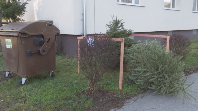 <strong><u>Pohreb pápeža sprevádzali zvony, kompostéry do rodinných domov, zber vianočných stromčekov, právne poradenstvo</u></strong>