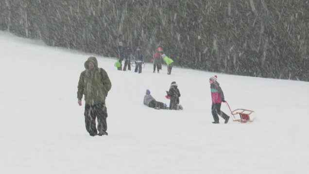 <strong><u>Na sánkovanie si prídete na svoje aj priamo v meste. Deti láka kopec pri kasárňach na Severe</u></strong>