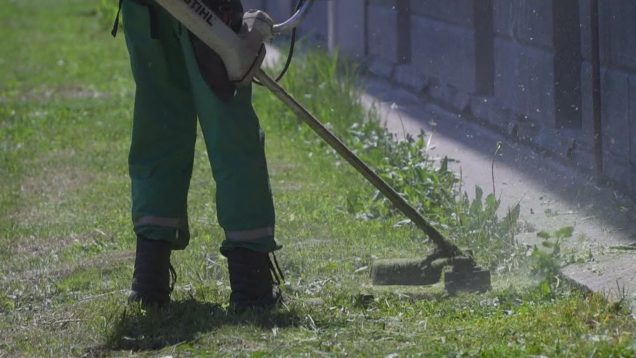 Rozhodnutia o miestnych daniach, Program hospodárskeho a sociálneho rozvoja mesta, začala jarná kosba, zmena cestovného v prímestskej doprave, Ekovýchovné centrum NP Veľká Fatra