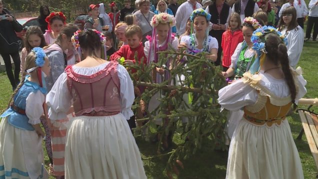 Za sprievodu ľudových piesní a tancov a za pomoci obľúbených seniorov postavili máj aj dievčatám a pani učiteľkám Súkromnej spojenej školy