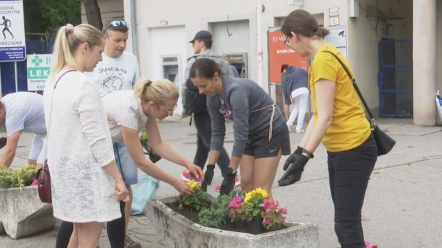Členovia projektového tímu novej nemocnice spolu s dobrovoľníkmi sadili v martinskej nemocnici kvety a zveľaďovali okolie
