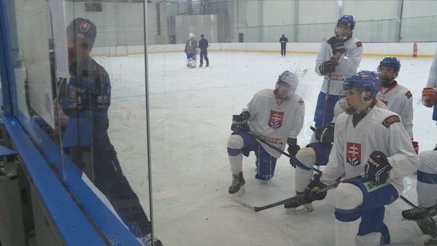 V rámci programu Hokejové leto absolvovali mládežnícke reprezentácie 16,17,18 a 20 ročných viacdňové kempy v martinskej tréningovej hale