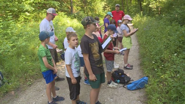 Deti spoznávali na enviro tábore prírodné poklady Veľkej Fatry