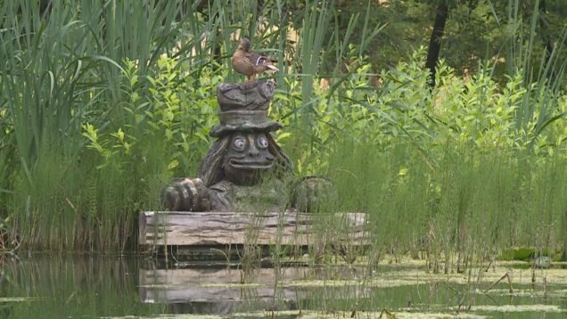 Jazierko v Košútoch je ako stvorené na letné prechádzky. Ponúka pastvu pre oči a zároveň na človeka pôsobí ako balzam na dušu