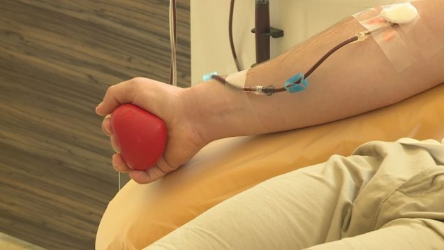 V čase prázdnin a dovoleniek nemocnice zápasia so zníženým počtom darcov a rýchlo sa míňajúcimi zásobami najvzácnejšej tekutiny, potrebnej na záchranu ľudského života