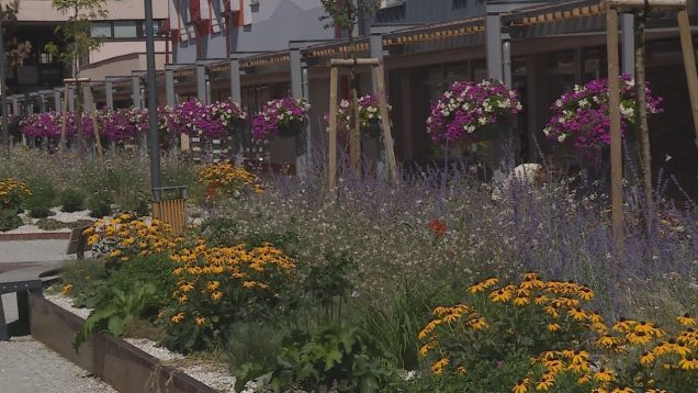 Zrekonštruovaná pešia zóna, ale aj ďalšie časti Vrútok hýria všetkými farbami a tešia zraky obyvateľov i návštevníkov