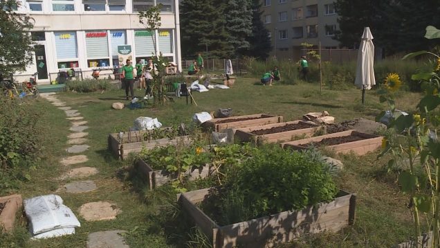 V Priekope vytvorili zanietené mamičky záhradný priestor pre zážitkovú výchovu najmenších, ale uplatnenie tam nájdu aj záujemcovia o políčka na pestovanie