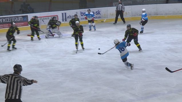 Martinské hokejistky sa v sobotu po druhý raz v sezóne predstavili na domácom ľade. Hoci bojovali ako levice, šťastena sa priklonila na stranu súperiek zo Žiliny